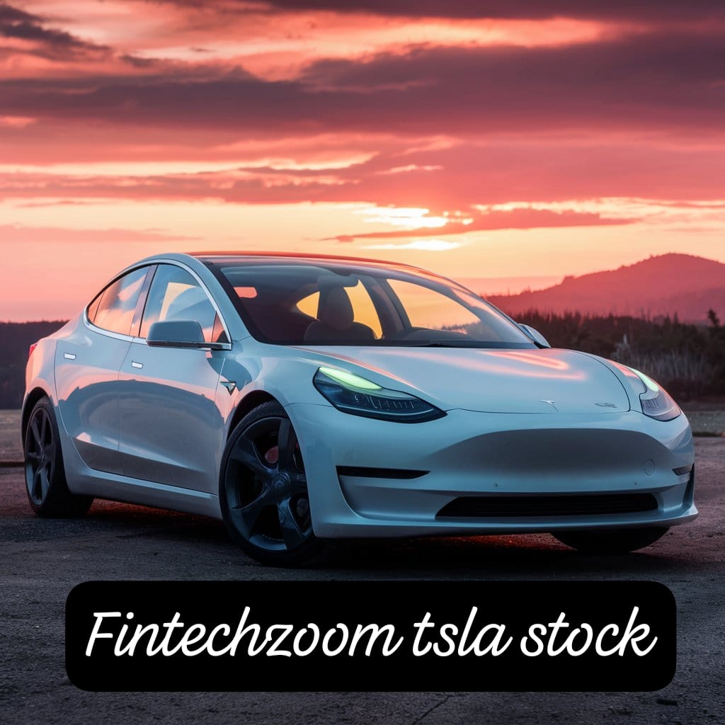 intechzoom tsla stock